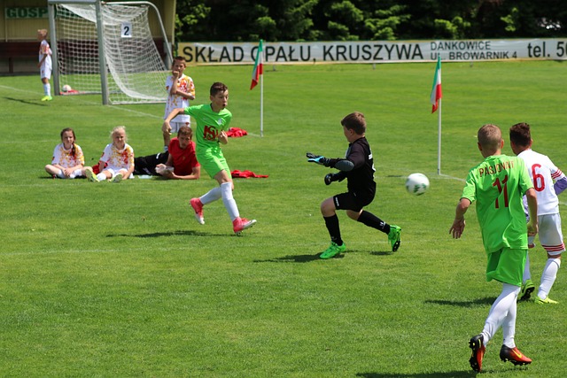 總而言之 總而言之