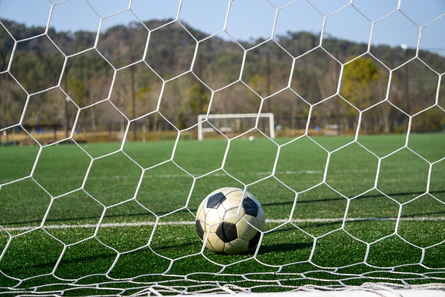 挡的上海队 挡的上海队