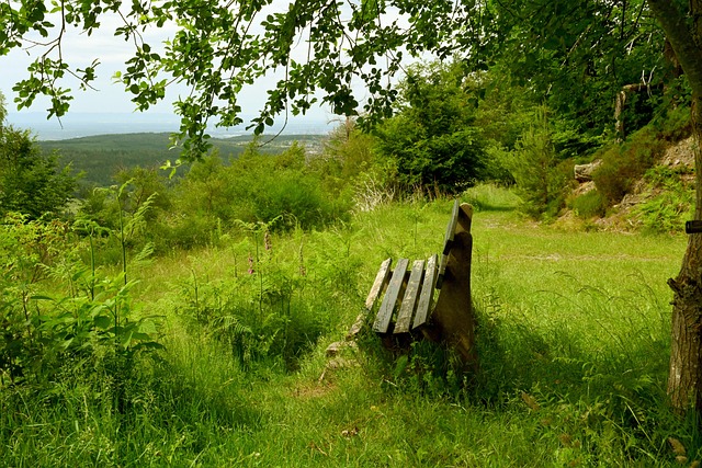 在他的职业 在他的职业