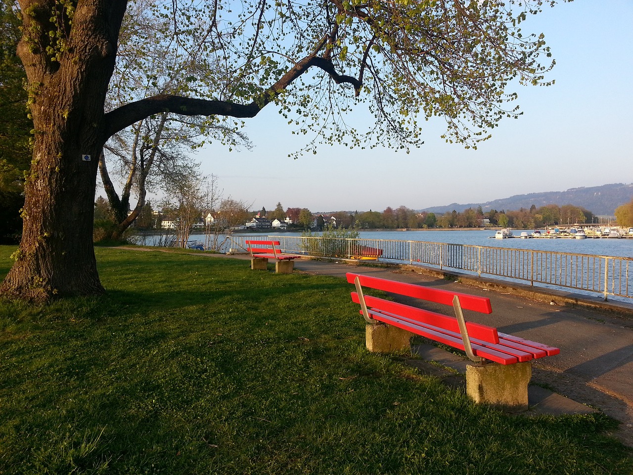 江苏女排取 江苏女排取