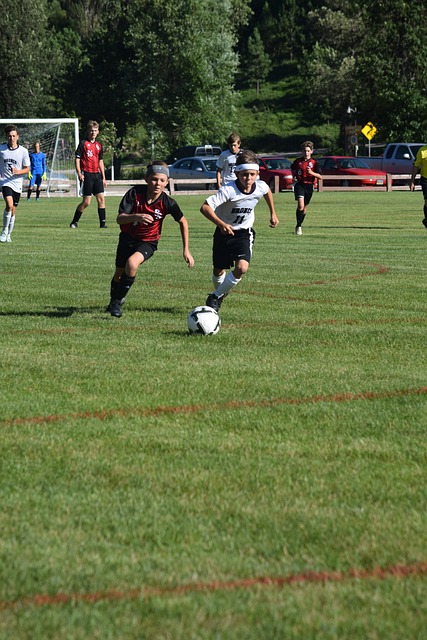 分析师和球 分析师和球